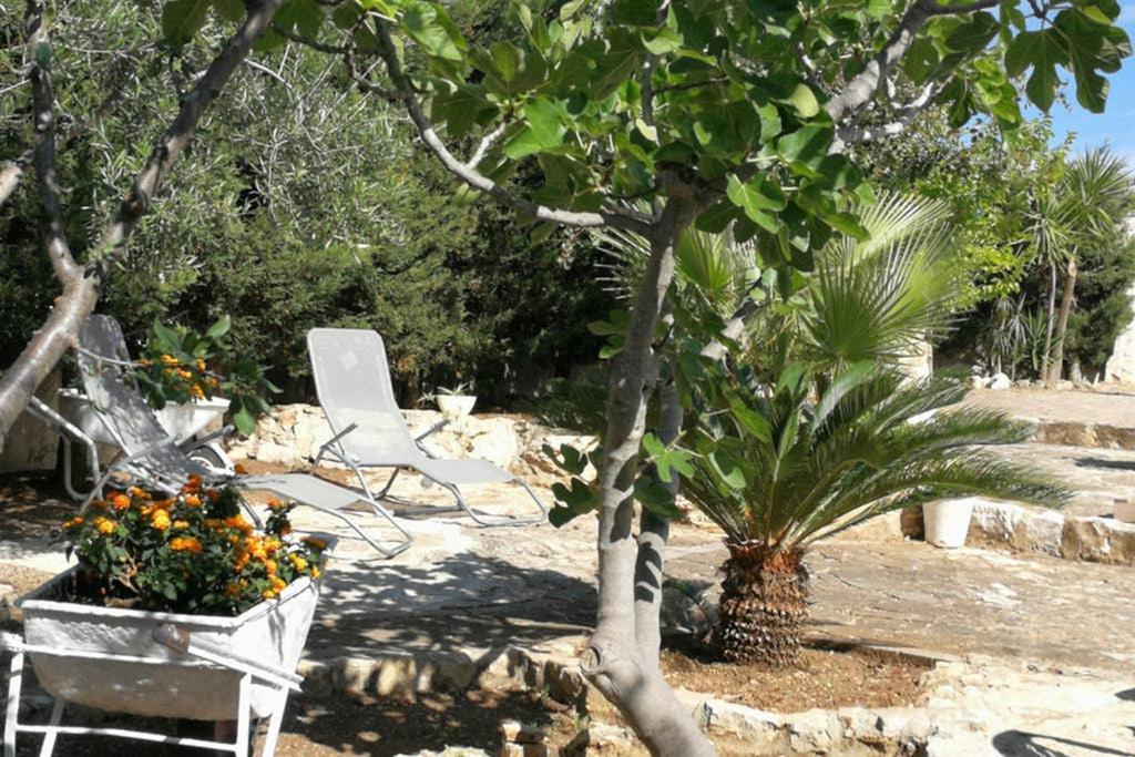 Villa Arenella فيستَ المظهر الخارجي الصورة
